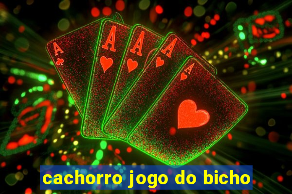 cachorro jogo do bicho